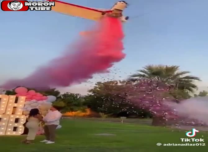 Video :During the gender reveal, a plane crashes